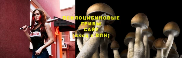 прущий лед Ладушкин
