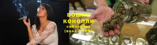 мдпв Лагань