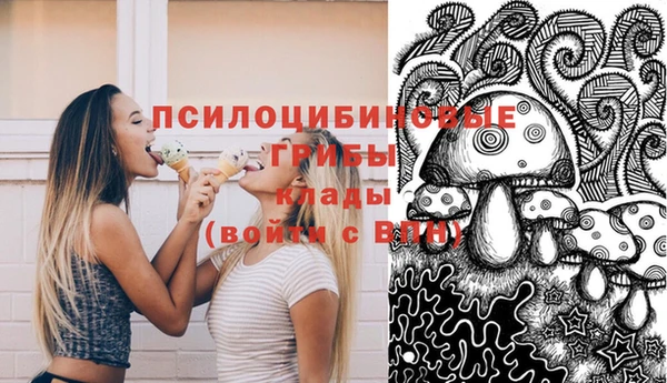 таблы Лиски